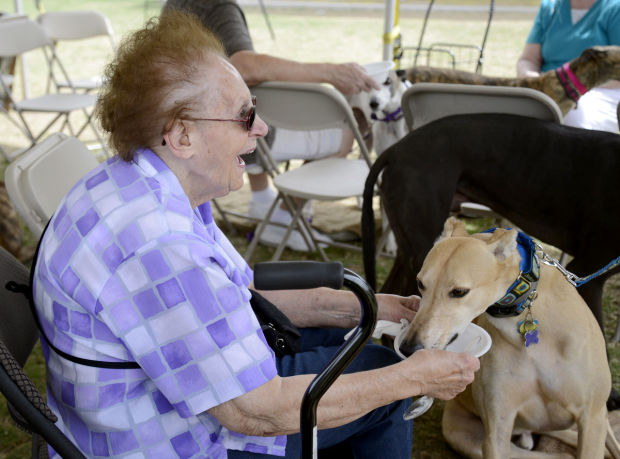Southern Arizona Greyhound Adoption Ice Cream Social